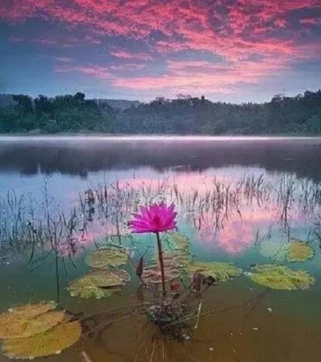 һ����ĥ�ѣ���ǰ�����в�����