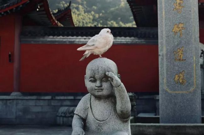 寺院住了60天,妈妈的抑郁症竟然不药而愈! 寺院住了60天,妈妈的抑郁症竟然不药而愈!