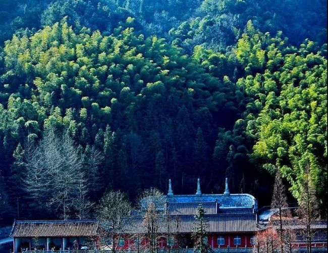 寺院住了60天,妈妈的抑郁症竟然不药而愈! 寺院住了60天,妈妈的抑郁症竟然不药而愈!