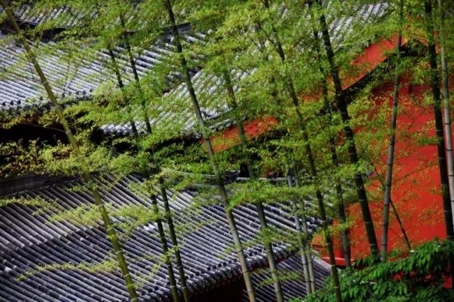 寺院住了60天,妈妈的抑郁症竟然不药而愈! 寺院住了60天,妈妈的抑郁症竟然不药而愈!