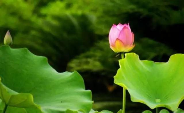 �������顢��ʱ���֣�������������������