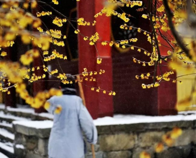 Ҳ������������죬��������Ҳ���ܴ���