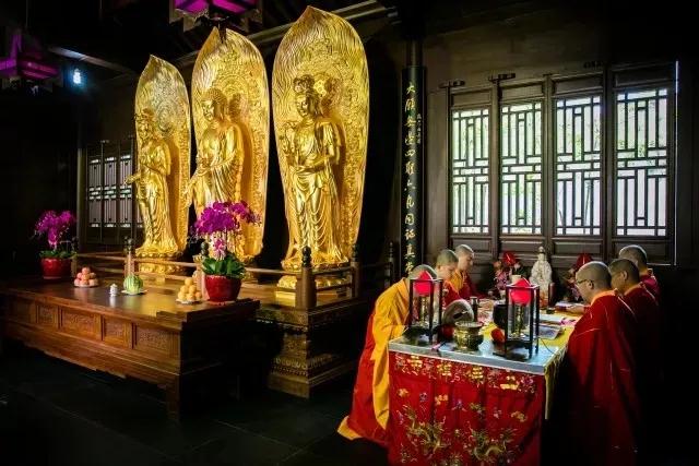 修净土不要忽略发愿,凡夫都是随念往生 修净土不要忽略发愿,凡夫都是随念往生