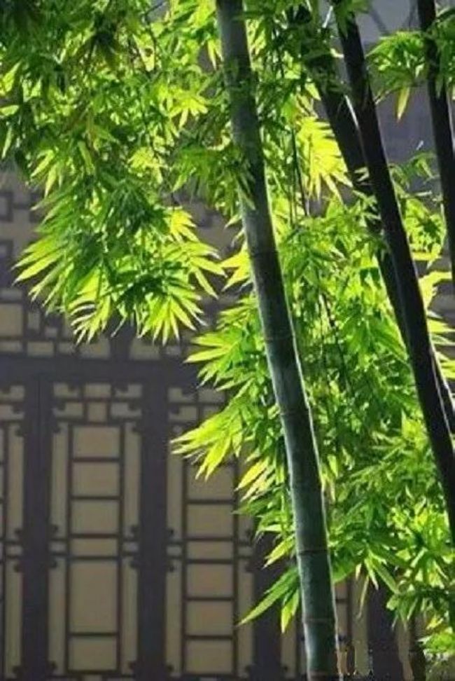 �����𸣵����˹��ɣ�ȫ���Լ�����