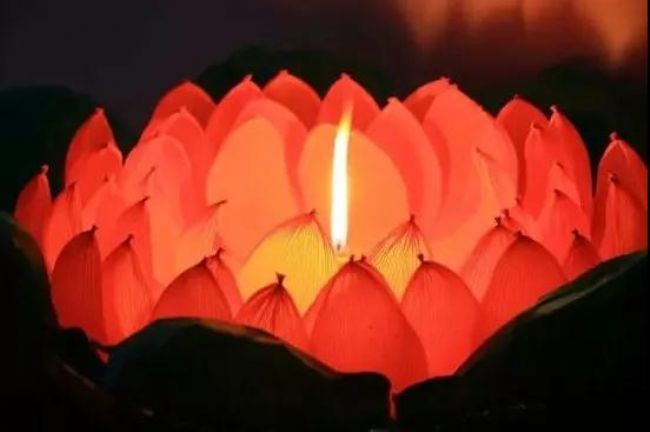 ����������ĸһ���ף�����Т���ᱼƪ