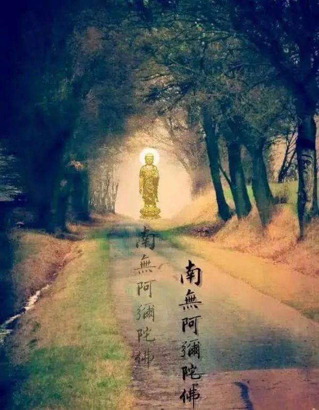 念一句佛号,就是给黑暗的心投入一束光! 念一句佛号,就是给黑暗的心投入一束光!