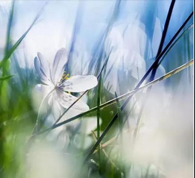 ������ʲô���ͱ�ʲô����������