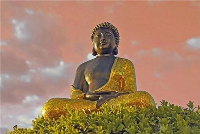 这样尽孝道才圆满! 这样尽孝道才圆满!