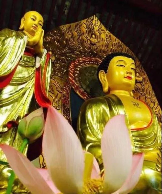 学佛到底从哪里入手呢? 学佛到底从哪里入手呢?