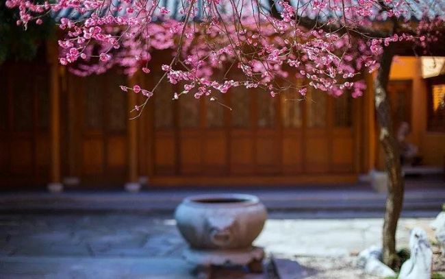 ӡ�ⷨʦ�����ж໬���й���������һ��һ��