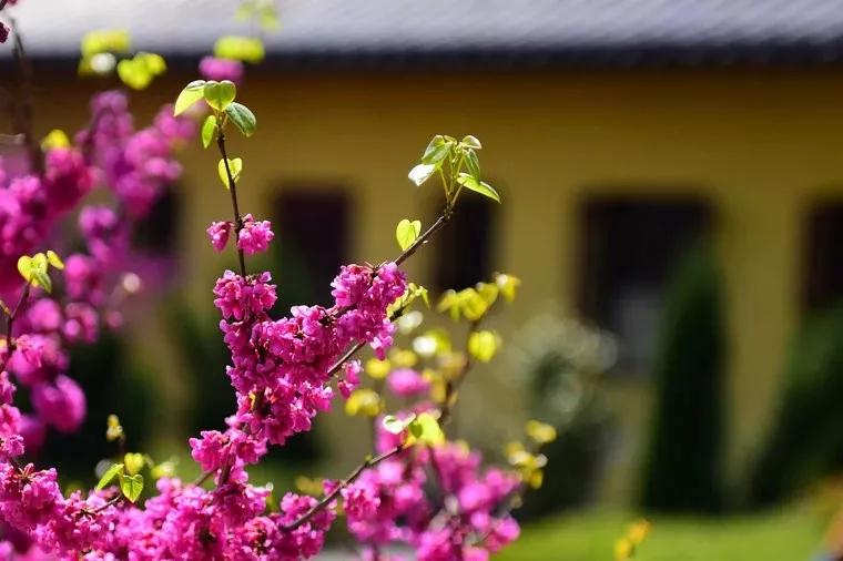 ͬ�޶����±չ�_|_ʮ��������ŵ���ʵ����