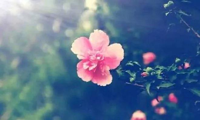 �����¾�һ��Ҫ�лر����������Ʒ�������Բ��