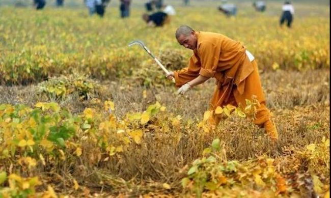 ����Σ�ѵ�ʱ���ܹ������ţ����ǵ�����ƽʱ����������ϰ��