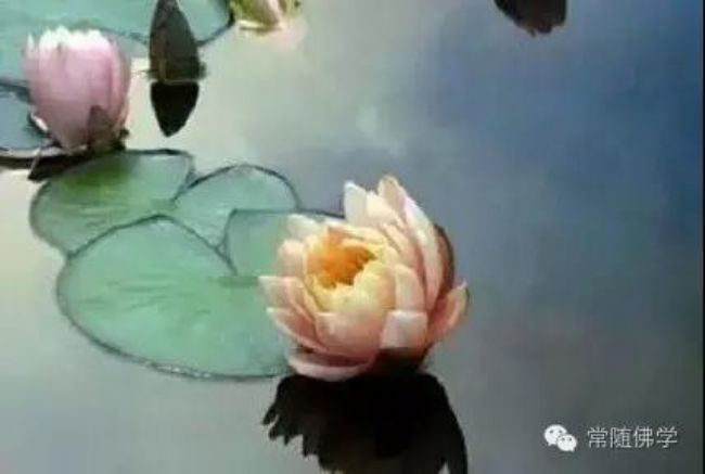 һ�ﾪ�������ˣ�����û����Ե�޹ʵĸ��ͻ�