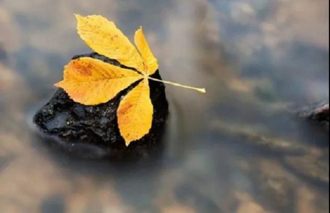 �����ȥ�ˣ��Ͳ�Ҫ̫���ա�̫����