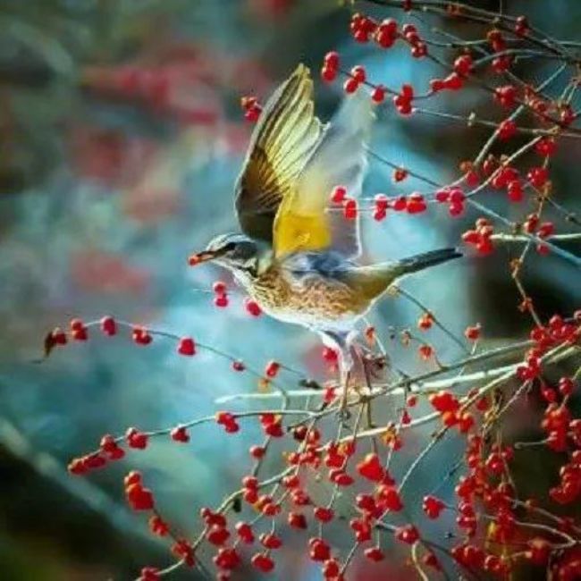 龙树菩萨讲,人转生为各种恶道众生的因果 龙树菩萨讲,人转生为各种恶道众生的因果