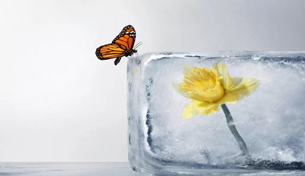 如何对待自己的过失?其实是有方法可以去化解的 如何对待自己的过失?其实是有方法可以去化解的