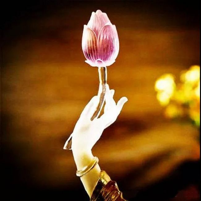 �����Ʊ����ж񱨣����ƶ񹦹��ܷ������