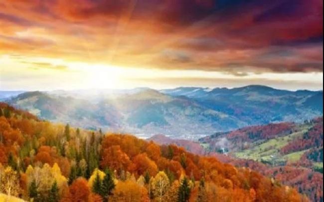 ���Ų����ý��ģ�Ҳ���������ģ���Ҫ���޵ģ�