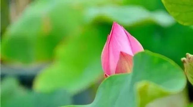 ���Ų����ý��ģ�Ҳ���������ģ���Ҫ���޵ģ�