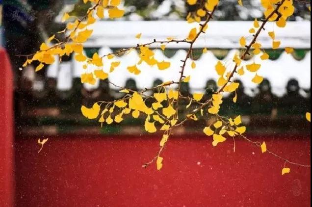 ֪ʶ�㣡����Ӹ����ȥ���۸��£�