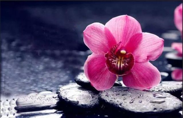 龙树菩萨:积财守财失财都是苦 龙树菩萨:积财守财失财都是苦