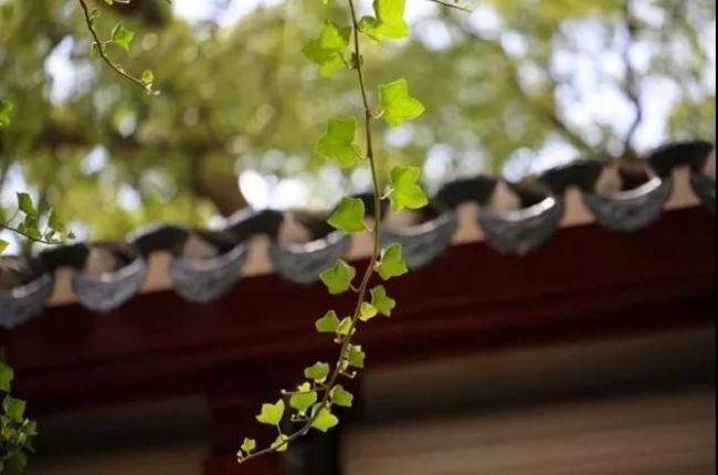 ��ʱ�˿̲������������ļң�