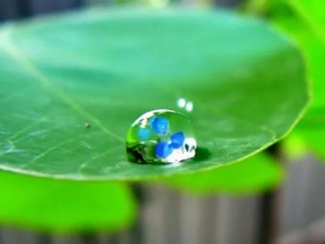 ��ʱ�˿̲������������ļң�