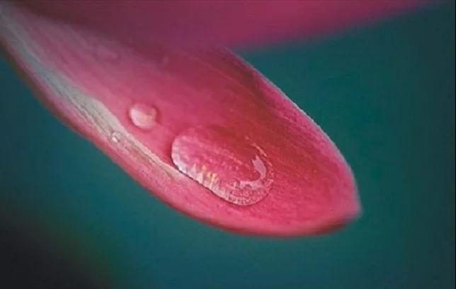 ѧ������������_�������������