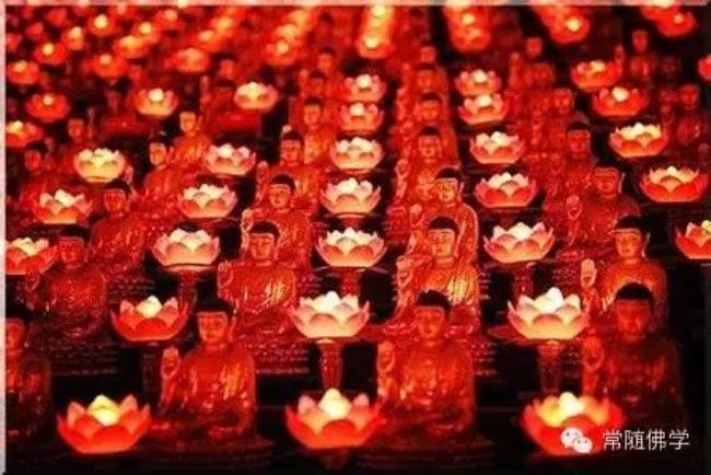 ���ǰ��_�˸��������ǻ�������