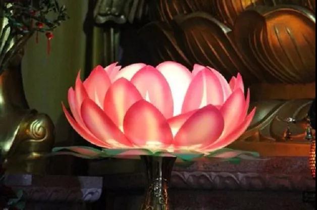 ���������Ҫ�������ã�