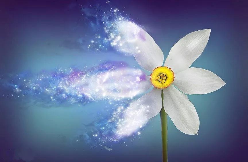 ��һ�־���_����һ�з��������ɢ~