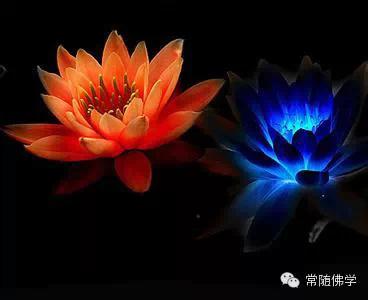 ��˵�������ڷ����ľ���Сϰ��