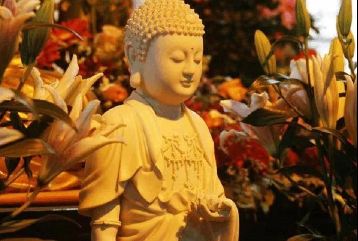 ӡ�ⷨʦ�����˶麣���д����ȣ������ϴ������Ǳ˰�