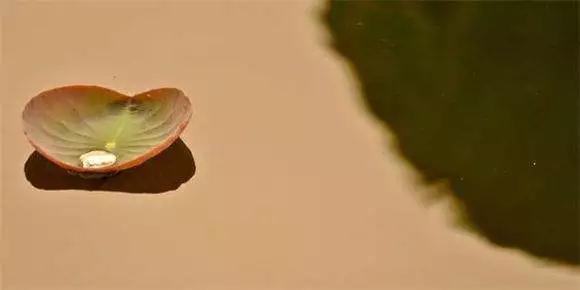 ���е�Ŀ�ģ�����Ѱ��ԭ���徻����������