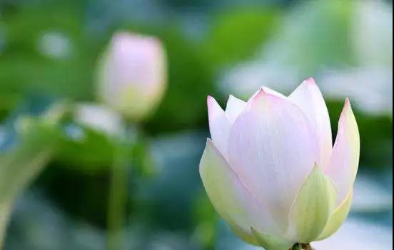 ���е�Ŀ�ģ�����Ѱ��ԭ���徻����������