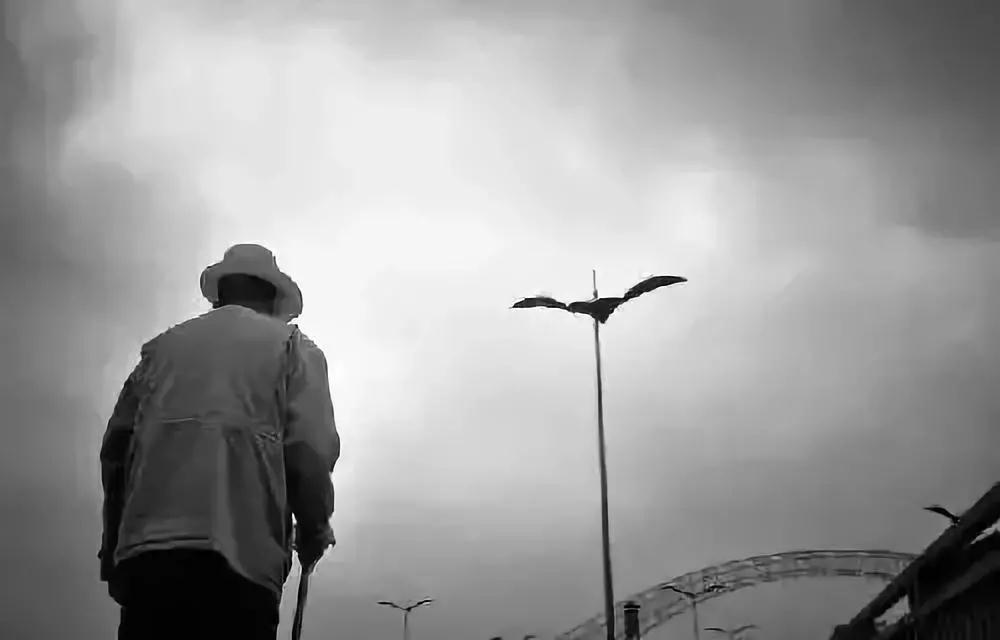 这是一位即将去养老院的老人写的,值得人们深思 这是一位即将去养老院的老人写的,值得人们深思