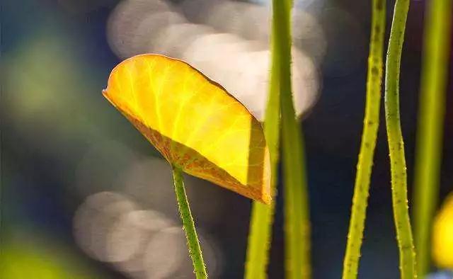 �ڼ�ѧ���ʿ���������������⣡����һ���Լ�