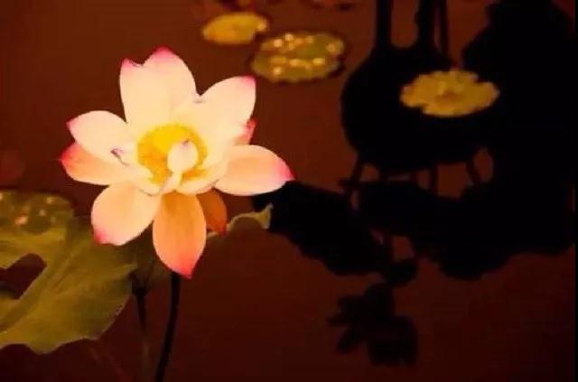 ����ѧ˵����һ��ѧ����