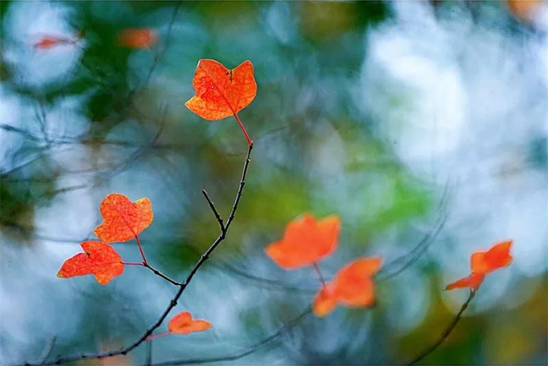 ֱ�����ڣ����кܶ��˲�֪��ʲô�ǡ��𡱡���