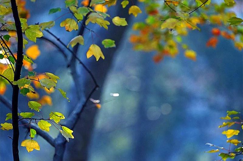 ֱ�����ڣ����кܶ��˲�֪��ʲô�ǡ��𡱡���