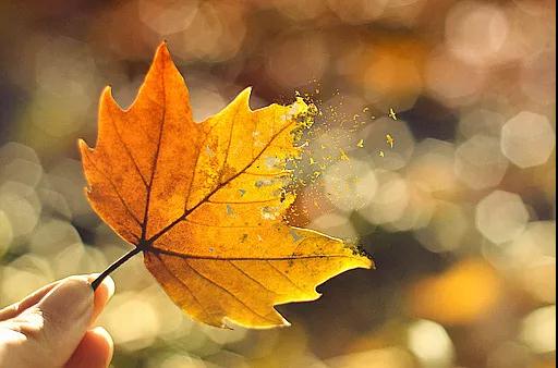 ֱ�����ڣ����кܶ��˲�֪��ʲô�ǡ��𡱡���