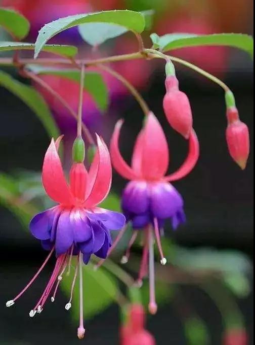 ���˵�Եһ��Ҫ���꣬�û���ծһ��Ҫ���壡