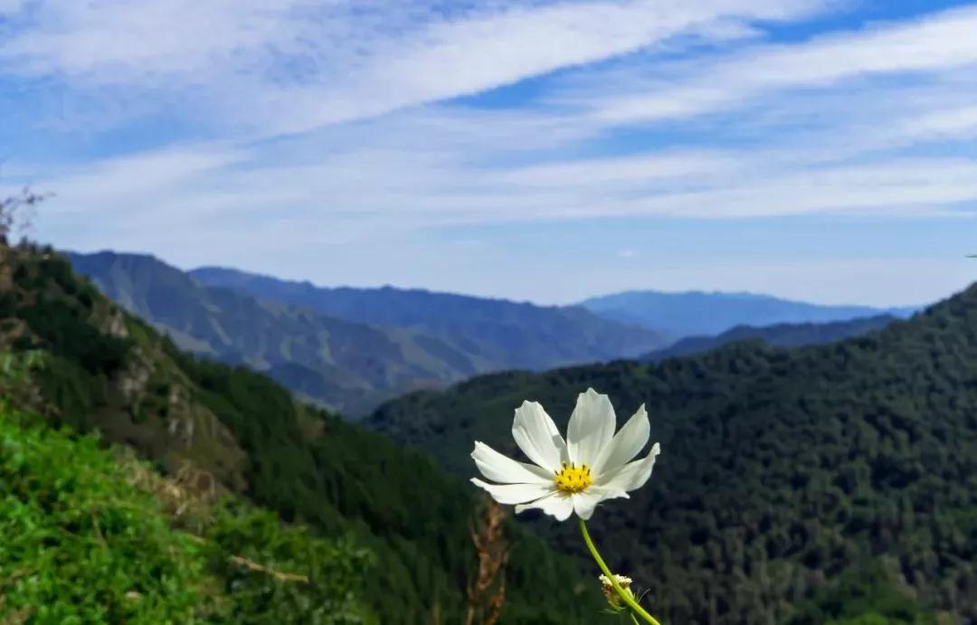 行脚五台山_,情满虚空界(组图) 行脚五台山_,情满虚空界(组图)