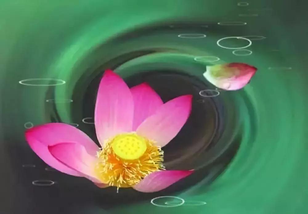 Ȱ���ŷ𣬲�Ҫ���Ĺ�ͷ��