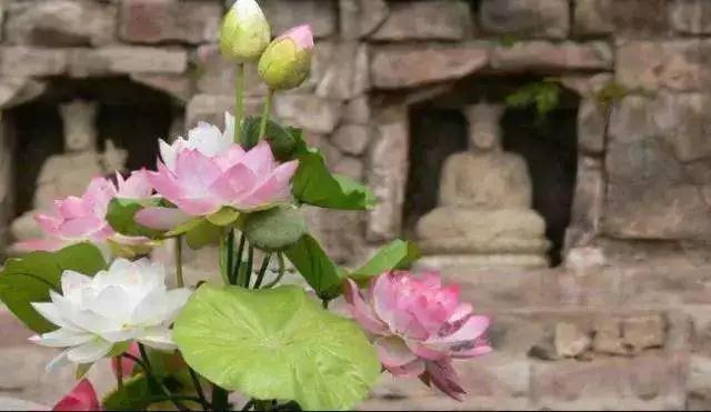 ��α���ѧ����ƫ��¡�෨ʦ�����ĵ㽨�飡