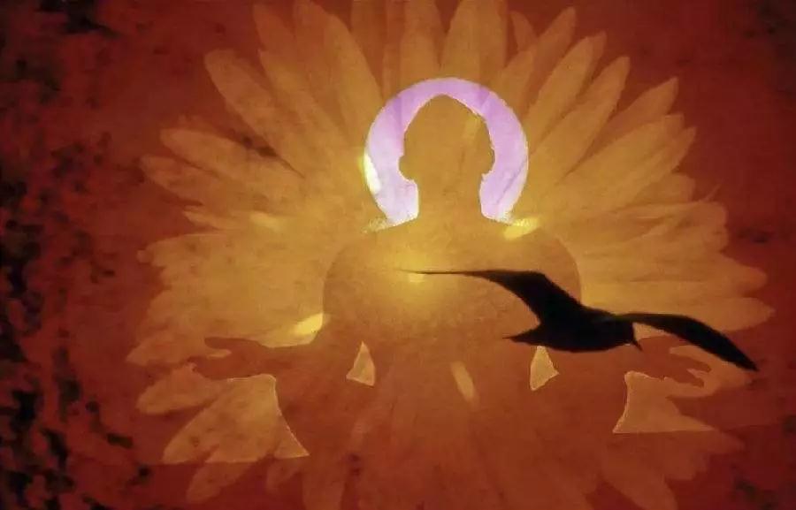 ��α���ѧ����ƫ��¡�෨ʦ�����ĵ㽨�飡