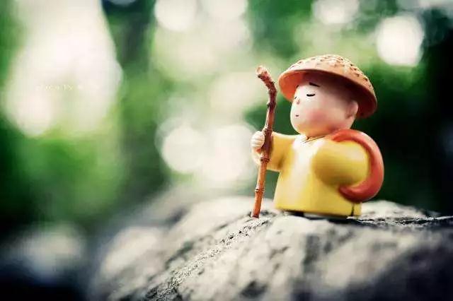 ����·�ϣ�ÿ�춼�м����²������ǣ�