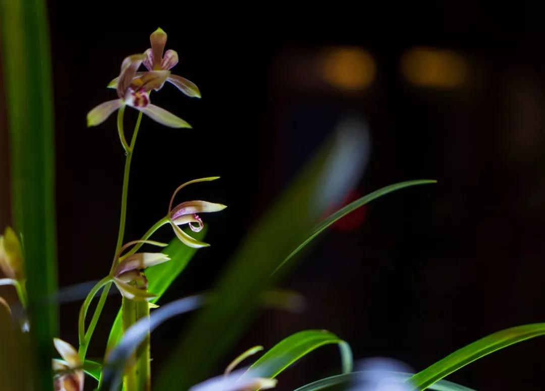 �����㲡�����ó��ľ��飬��ʵ��