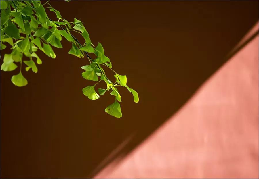 ������������ʦͽ��������ʴ�